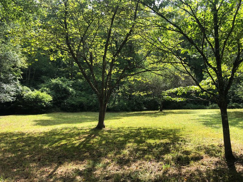 1805 Waters End Rd, Walland, TN 37886