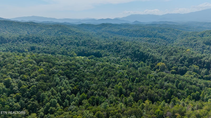 1809 Alpine Dr, Sevierville, TN 37876