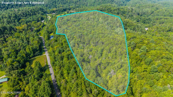 1809 Alpine Dr, Sevierville, TN 37876