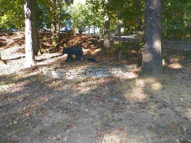 1809 Olympia Ct, Sevierville, TN 37862