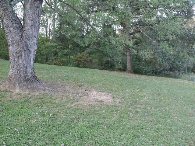181 Bethlehem Rd, Madisonville, TN 37354