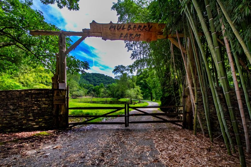 181 Mulberry Creek Rd, Vonore, TN 37885