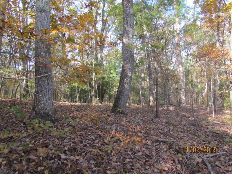 181 Squaw Valley Rd, Kingston, TN 37763