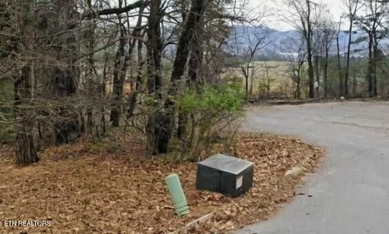 181 Trail View Dr, Loudon, TN 37774