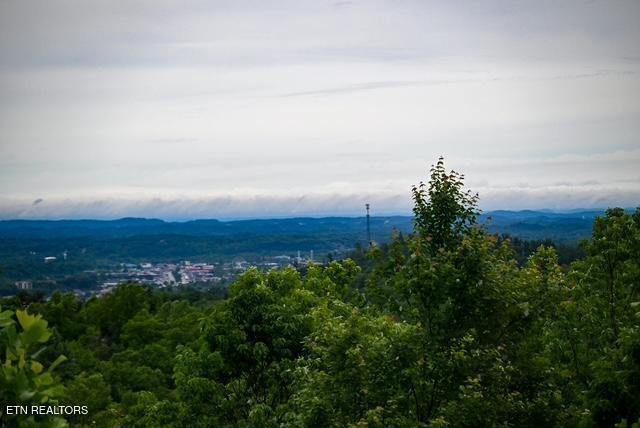 1816 N Dogwood Ln, Sevierville, TN 37876