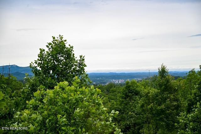 1816 N Dogwood Ln, Sevierville, TN 37876