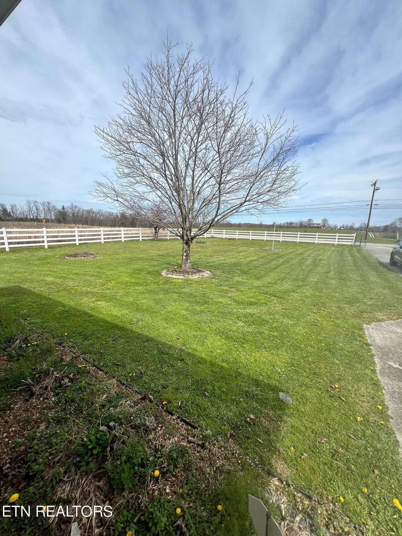 1817 Nashville Hwy, Lancing, TN 37770
