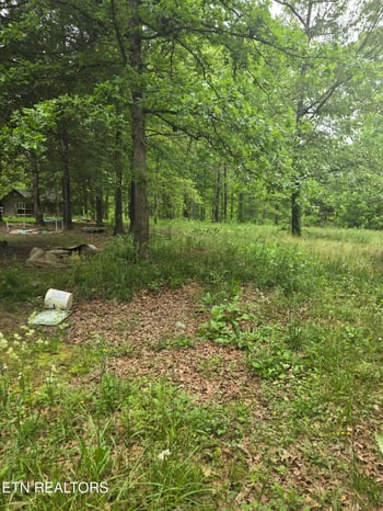 182 Huse Potter Rd, Lancing, TN 37770