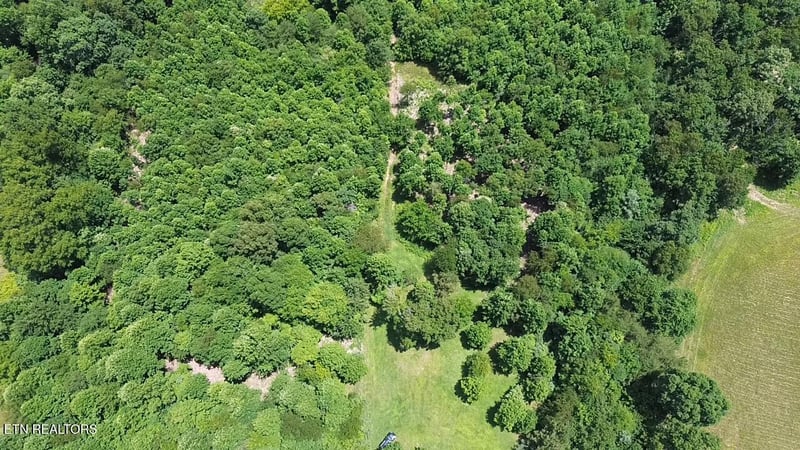 182 Nydeck Rd, Robbins, TN 37852