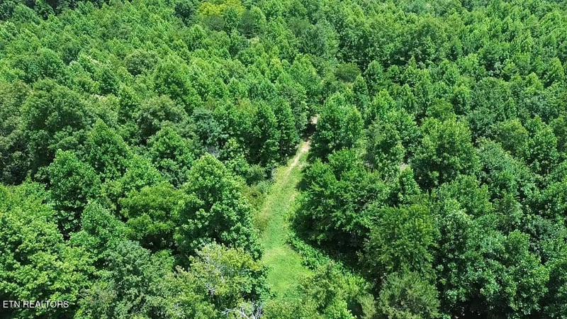 182 Nydeck Rd, Robbins, TN 37852
