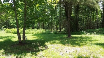182 Nydeck Rd, Robbins, TN 37852