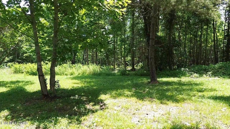 182 Nydeck Rd, Robbins, TN 37852
