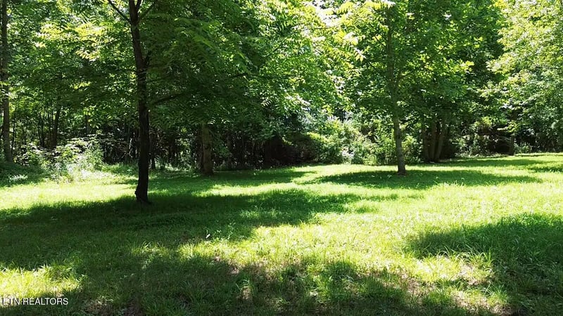 182 Nydeck Rd, Robbins, TN 37852