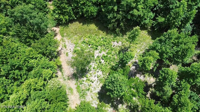 182 Nydeck Rd, Robbins, TN 37852