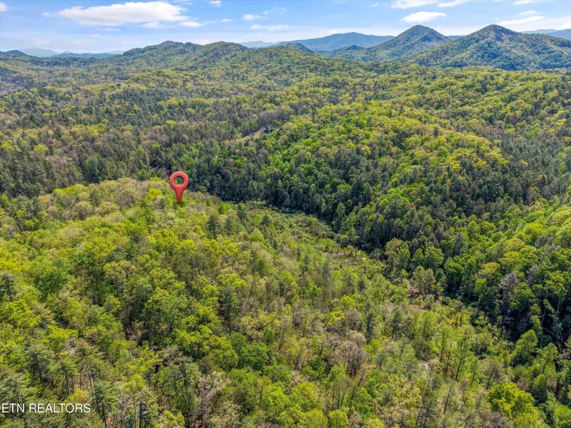 1820 Oakwood Rd, Walland, TN 37886