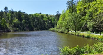 1820 Oakwood Rd, Walland, TN 37886