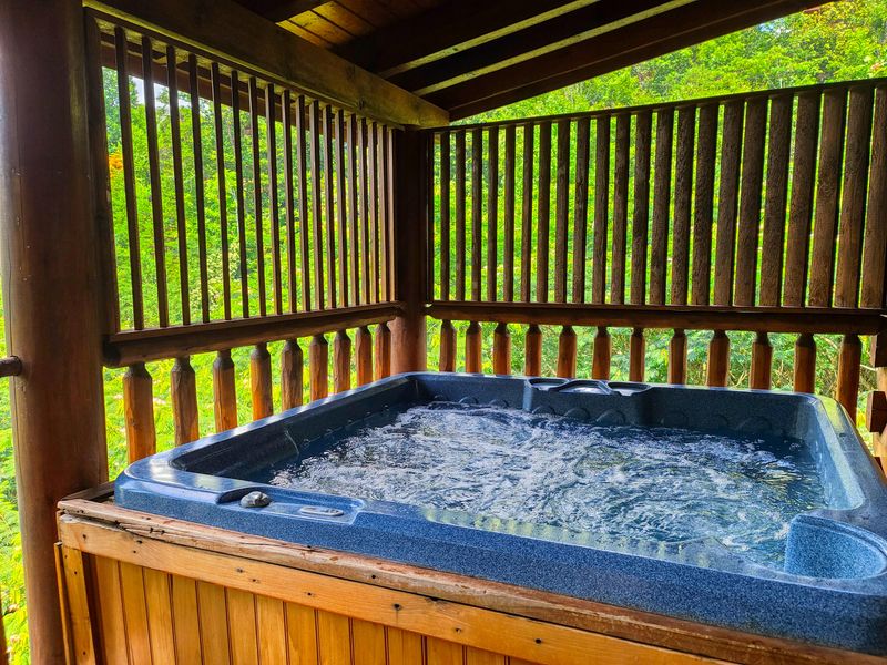 1822 Panther Path Way, Sevierville, TN 37876