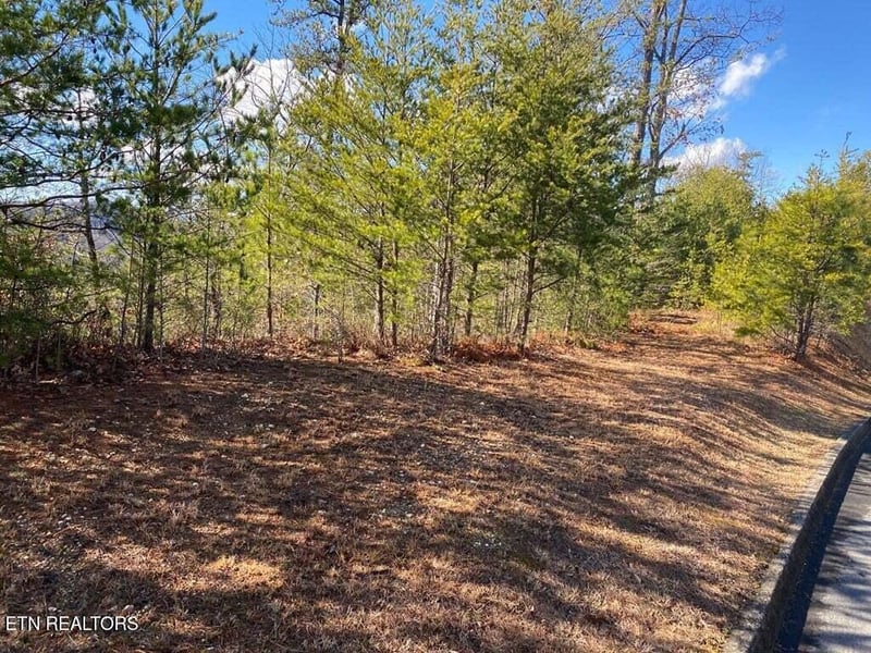 1824 Pinestand Ridge Way, Sevierville, TN 37862