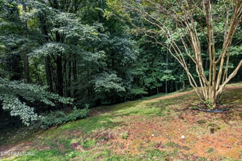 1829 Chicadee Dr, Knoxville, TN 37919