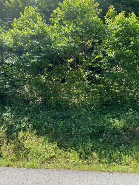 183- Yoakum Hollow Rd, Jacksboro, TN 37757