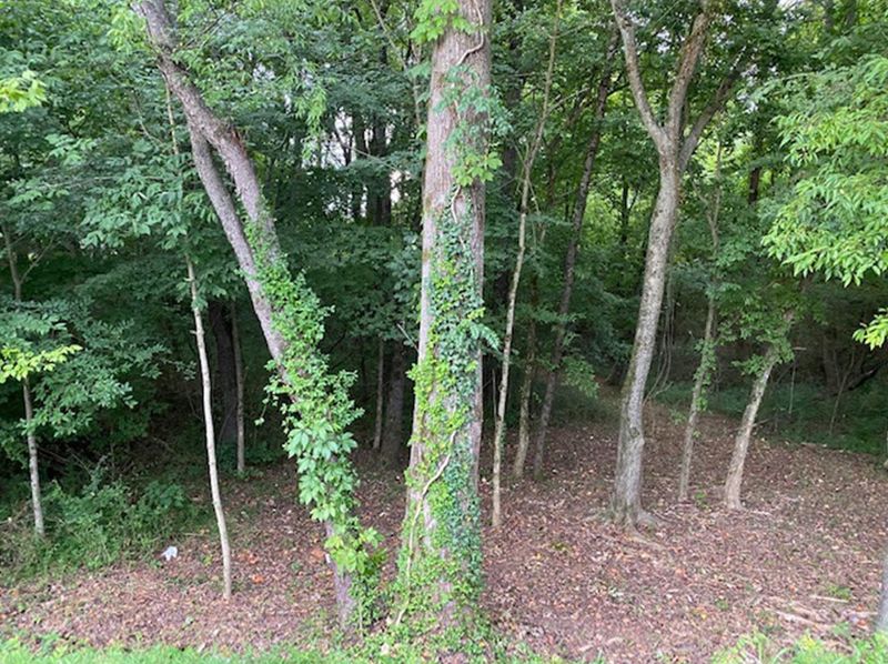 183 Dudala Way, Loudon, TN 37774
