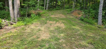 183 Persimmon Ln, Pioneer, TN 37847