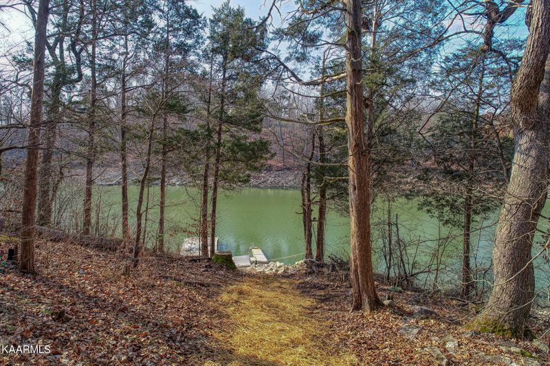 183 Shelby Loop, New Tazewell, TN 37825