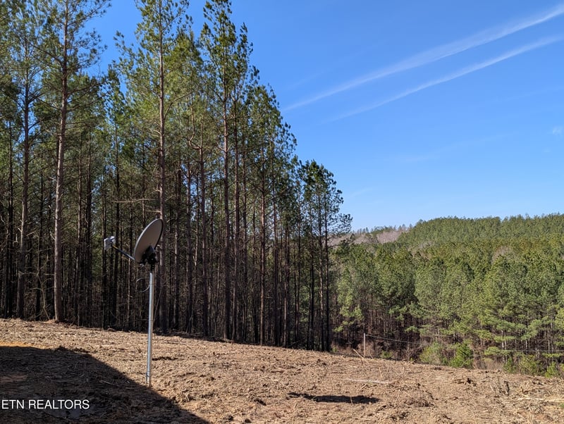 183 Union Hill Rd, Sunbright, TN 37872