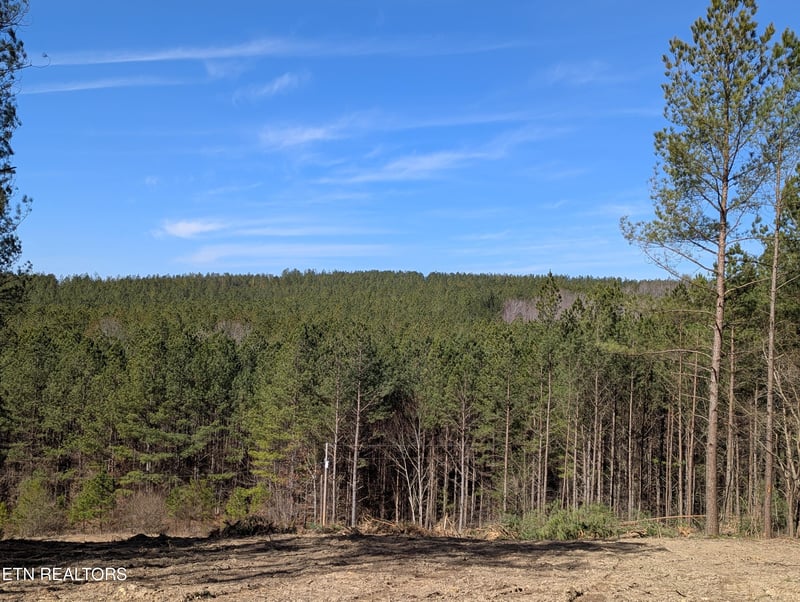 183 Union Hill Rd, Sunbright, TN 37872