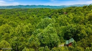 1830 Cherry View Ln, Pigeon Forge, TN 37876