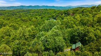 1830 Cherry View Ln, Pigeon Forge, TN 37876