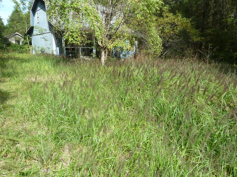 1834 Chapel Rd, Sevierville, TN 37876