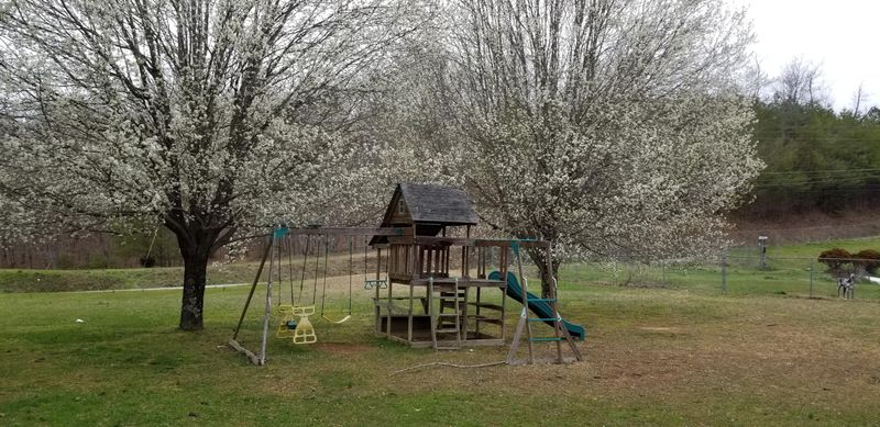 1835 Mountain View Rd, Robbins, TN 37852