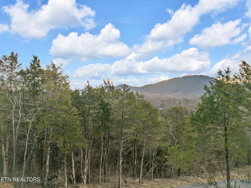 184 Tazewell Pike, Luttrell, TN 37779