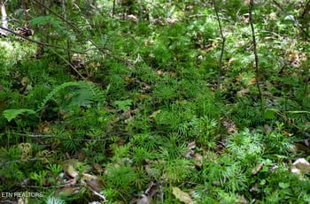 1840 Bryant Hollow Lot 5 Way, Sevierville, TN 37876