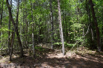 1840 Bryant Hollow Way, Sevierville, TN 37876