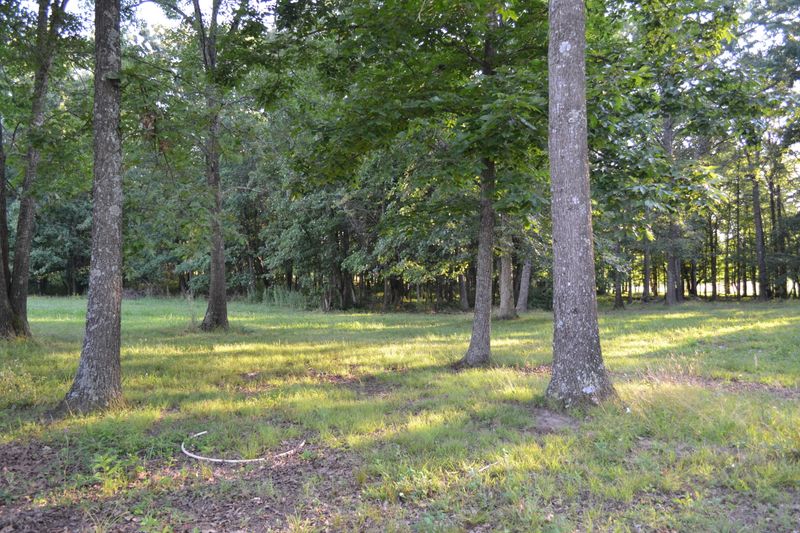 1840 Meister Hills Rd, Deer Lodge, TN 37726