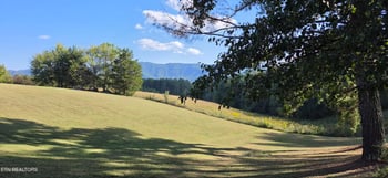 1845 Tree Tops Ln, Seymour, TN 37865