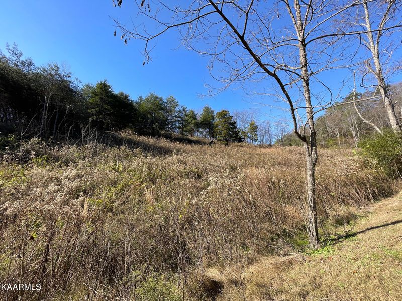 1846 Saddle Way, Sevierville, TN 37876