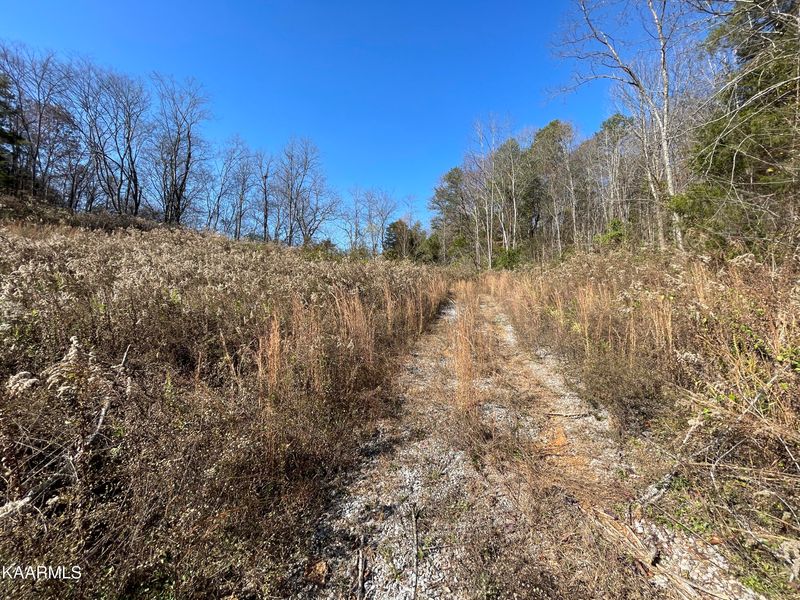 1846 Saddle Way, Sevierville, TN 37876