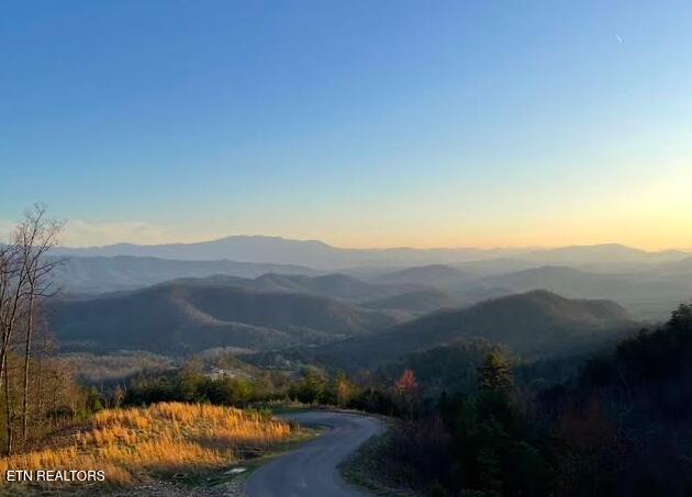 1848 Mountain Ash Way, Sevierville, TN 37876