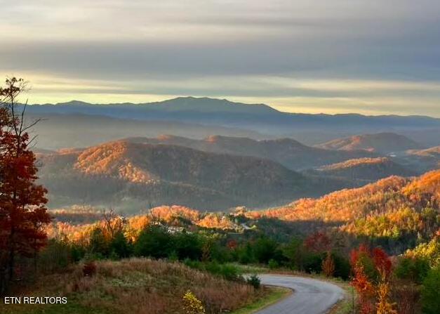 1848 Mountain Ash Way, Sevierville, TN 37876