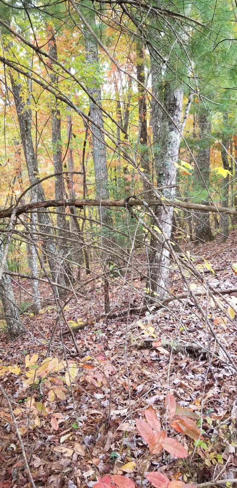 185 Pineridge Loop, Fairfield Glade, TN 38558