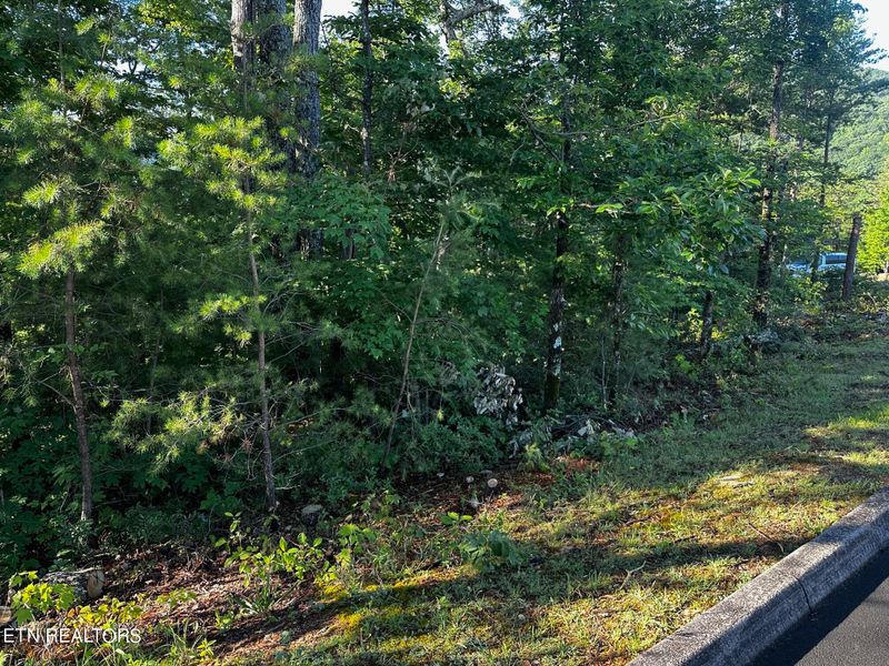 1851 Pinestand Ridge Way, Sevierville, TN 37862