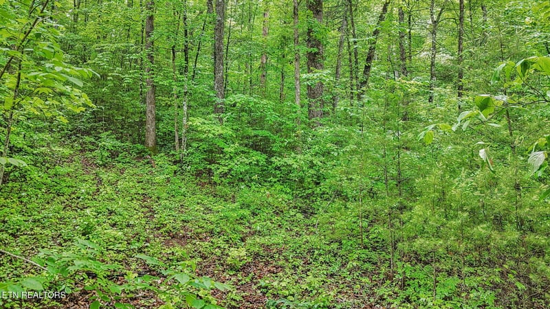 1852 Oakwood Rd, Walland, TN 37886