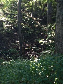 186 Mountain Breeze Way, Townsend, TN 37882