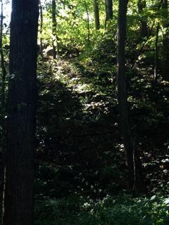 186 Mountain Breeze Way, Townsend, TN 37882