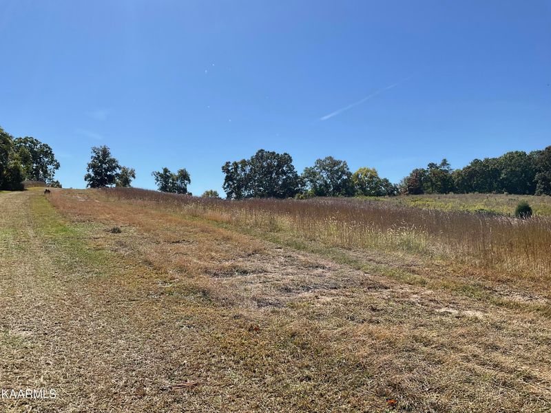 187 Cates Rd, Rockwood, TN 37854
