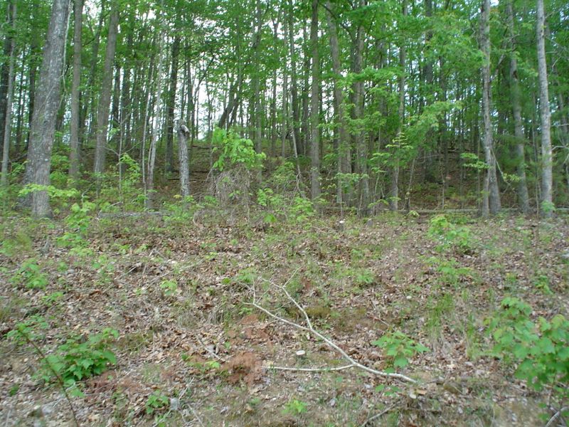 187 Markham Ln, Fairfield Glade, TN 38558