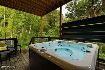 1870 Mountain Ash Way, Sevierville, TN 37876